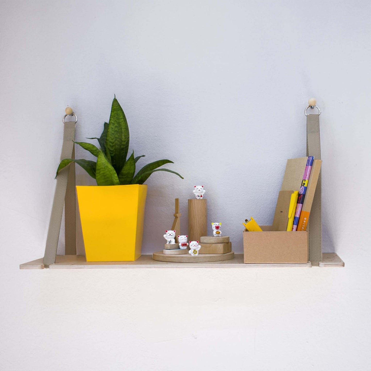 SINGLE shelf